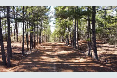 0 Pine Lodge Drive Lot 26, Bastrop, TX 78602 - Photo 5