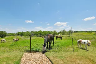 524 Ferrule Dr, Kyle, TX 78640 - Photo 23