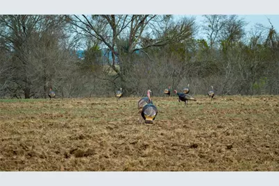 218 Brody Lane, Bastrop, TX 78602 - Photo 9