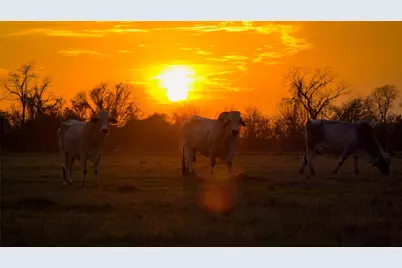 218 Brody Lane, Bastrop, TX 78602 - Photo 19