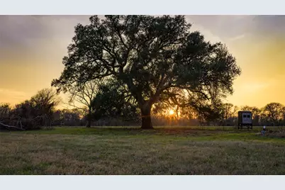 218 Brody Lane, Bastrop, TX 78602 - Photo 11