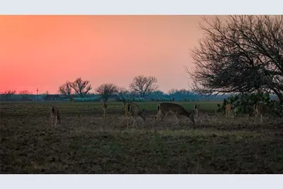 218 Brody Lane, Bastrop, TX 78602 - Photo 7