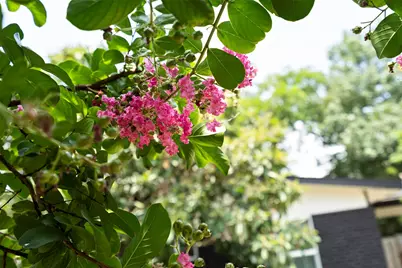 3002 Brinwood Avenue, Austin, TX 78704 - Photo 33