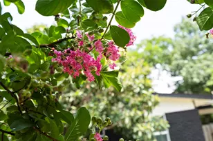 3002 Brinwood Ave, Austin, TX 78704 - Photo 33