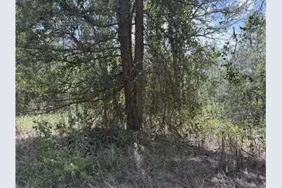 Tbd Honolulu Lane, Bastrop, TX 78602 - Photo 5