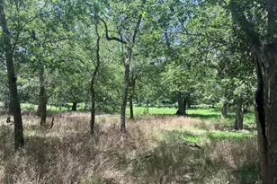 344 & 343 Bateman Rd, Red Rock, TX 78662 - Photo 17