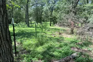 344 & 343 Bateman Rd, Red Rock, TX 78662 - Photo 13