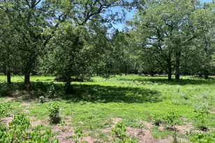 344 & 343 Bateman Rd, Red Rock, TX 78662 - Photo 11