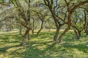 4200 Deer Trail, Spicewood, TX 78669 - Photo 5