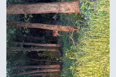 731 Stokes Street, Rockdale, TX 76567 - Photo 7