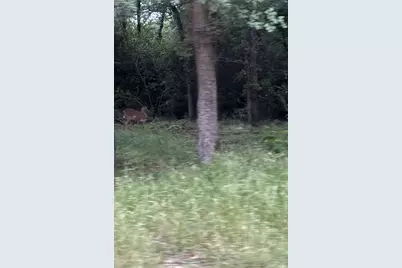 731 Stokes Street, Rockdale, TX 76567 - Photo 9