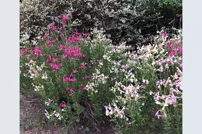 5013 Sendero Springs Drive, Round Rock, TX 78681 - Photo 39