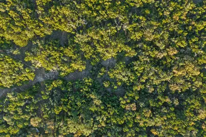 2701 Alpine Trail, San Marcos, TX 78666 - Photo 11