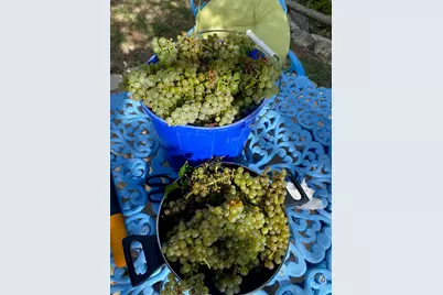 306 Tavish Trail, Austin, TX 78738 - Photo 37