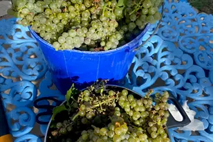 306 Tavish Trail, Austin, TX 78738 - Photo 37