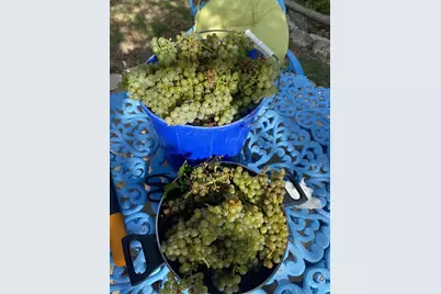 306 Tavish Trail, Austin, TX 78738 - Photo 37