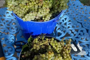 306 Tavish Trail, Austin, TX 78738 - Photo 37