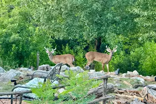 306 Tavish Trail, Austin, TX 78738 - Photo 39