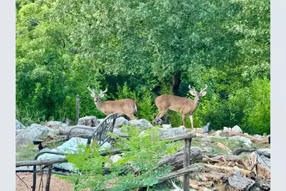 306 Tavish Trail, Austin, TX 78738 - Photo 39