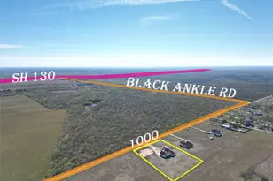 1000 Black Ankle Rd, Lockhart, TX 78644 - Photo 33