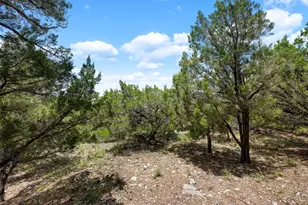 906 Moonlight Bay Dr, Spicewood, TX 78669 - Photo 17