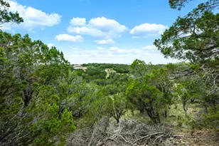 906 Moonlight Bay Dr, Spicewood, TX 78669 - Photo 7