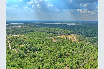 Tbd Pine Tree Loop, Bastrop, TX 78602 - Photo 3