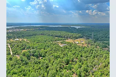 Tbd Pine Tree Loop, Bastrop, TX 78602 - Photo 3