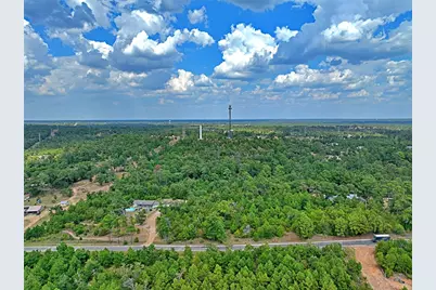 Tbd Pine Tree Loop, Bastrop, TX 78602 - Photo 7