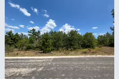 Tbd Pine Tree Loop, Bastrop, TX 78602 - Photo 9