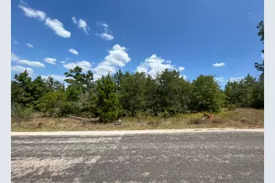 Tbd Pine Tree Loop, Bastrop, TX 78602 - Photo 9