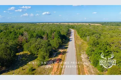Tbd Ranch Road Off Cr 405 (+/- 245 Acres), Lexington, TX 78947 - Photo 7
