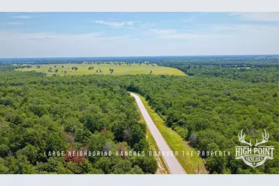 Tbd Ranch Road Off Cr 405 (+/- 245 Acres), Lexington, TX 78947 - Photo 9