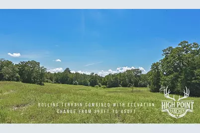 Tbd Ranch Road Off Cr 405 (+/- 245 Acres), Lexington, TX 78947 - Photo 13