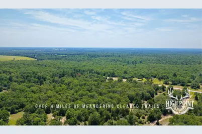 Tbd Ranch Road Off Cr 405 (+/- 245 Acres), Lexington, TX 78947 - Photo 11