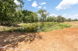 9019 FM86, Lockhart, TX 78644 - Photo 31