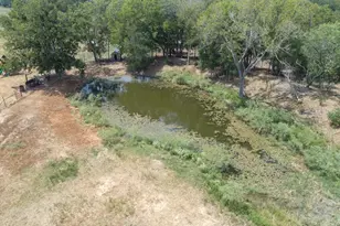 9019 FM86, Lockhart, TX 78644 - Photo 29