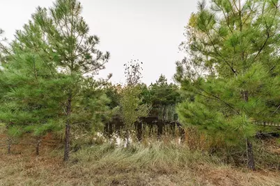 139 Village Forest Drive, Smithville, TX 78957 - Photo 5