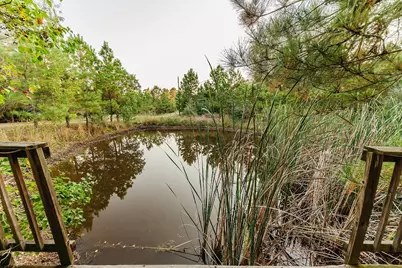 139 Village Forest Drive, Smithville, TX 78957 - Photo 21