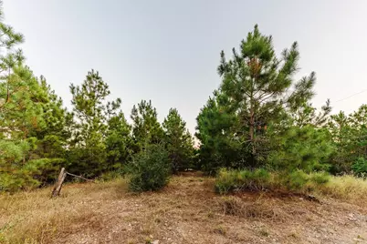 139 Village Forest Drive, Smithville, TX 78957 - Photo 19