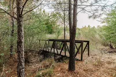 139 Village Forest Drive, Smithville, TX 78957 - Photo 9