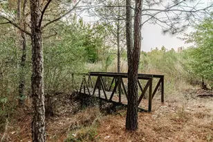 139 Village Forest Dr, Smithville, TX 78957 - Photo 9