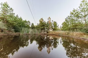 139 Village Forest Dr, Smithville, TX 78957 - Photo 7