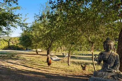 19801 Adrian Way, Jonestown, TX 78645 - Photo 37