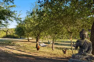 19801 Adrian Way, Jonestown, TX 78645 - Photo 37