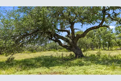 [Address not provided], Blanco, TX 78606 - Photo 17