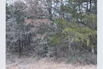 Tbd Pearson Road, Cedar Creek, TX 78616 - Photo 5