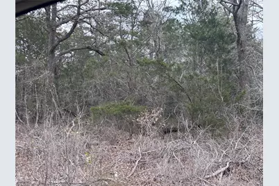 Tbd Pearson Road, Cedar Creek, TX 78616 - Photo 3