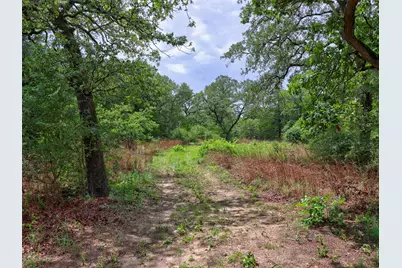 1420 Cr C, Lexington, TX 78947 - Photo 9