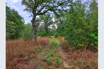 1420 Cr C, Lexington, TX 78947 - Photo 5